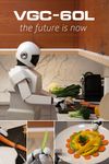 vgc-60l